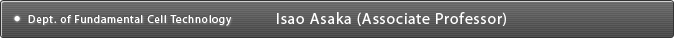 Dept. of Fundamental Cell Technology Isao Asaka (Associate Professor)