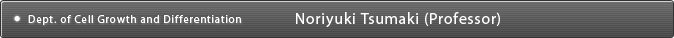 Dept. of Cell Growth and Differentation Noriyuki Tsumaki (Professor)