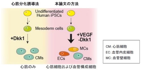 fig1.jpg