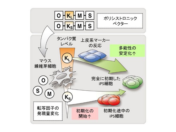 KW図_JP訳２.jpg