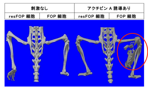 20151127_ikeya_5.jpg