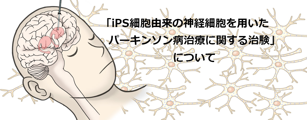 PDニュース記事