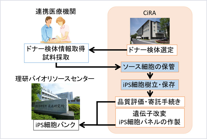 疾患iPS細胞&健常人iPS細胞バンク