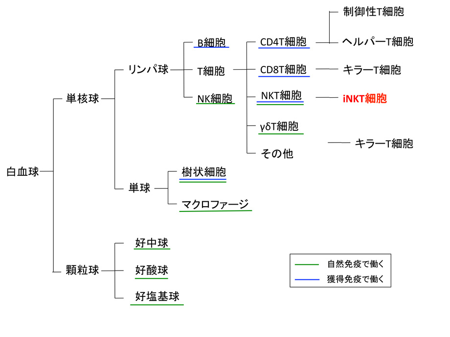 20160209_kaneko_10.jpg