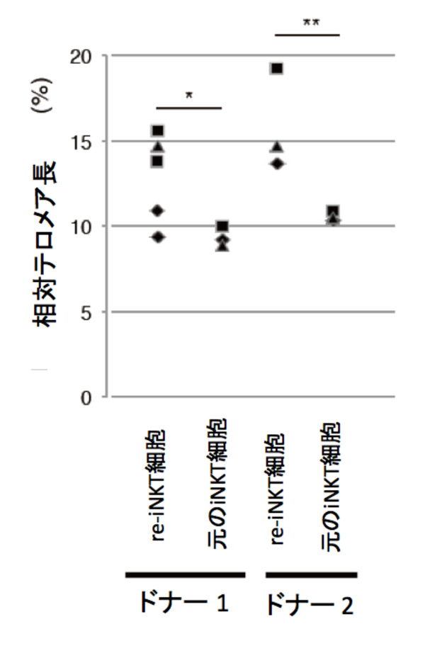 20160209_kaneko_5.jpg