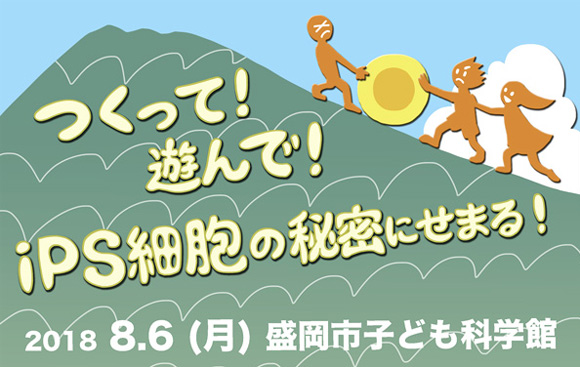 終了 岩手県盛岡市でサイエンスイベント つくって 遊んで Ips細胞の秘密にせまる を開催します ニュース ニュース イベント Cira サイラ 京都大学 Ips細胞研究所