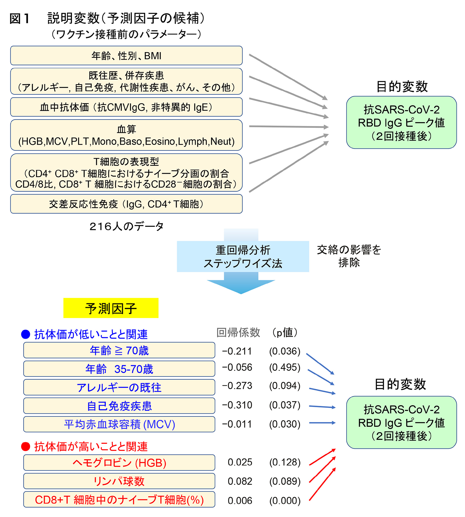 COVID-19 mRNAワクチン接種後の抗体価の予測因子を特定 ～個人の免疫応答能を予測するバイオマーカー探索の試み～
