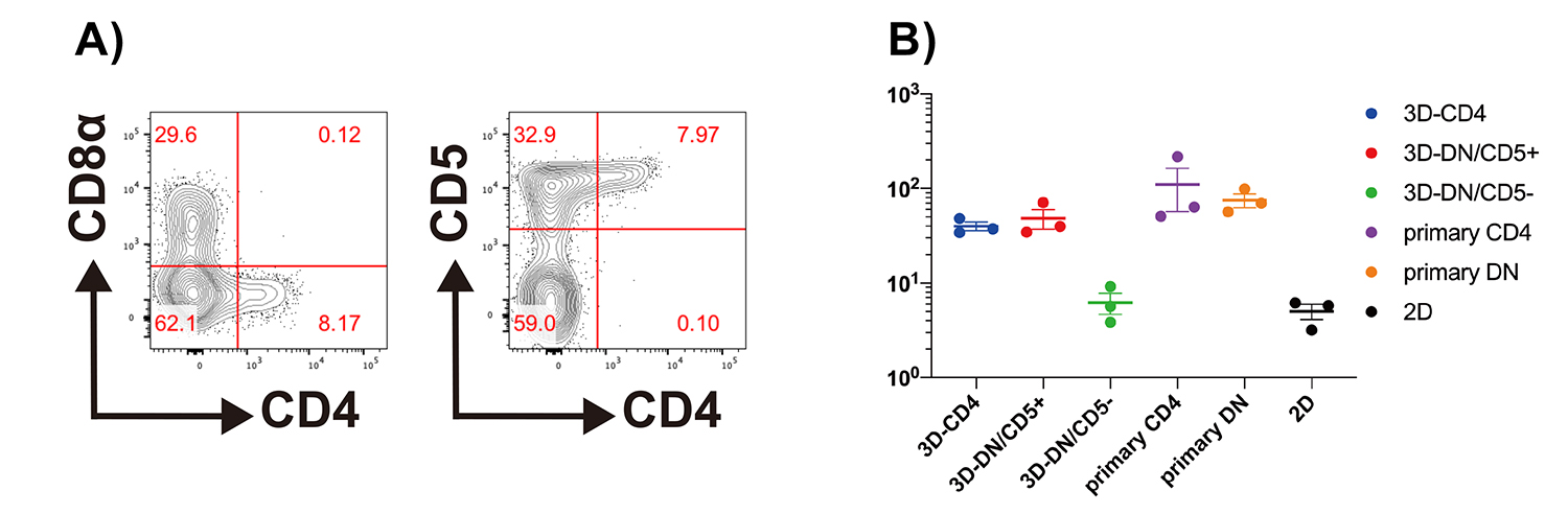 3次元培養技術を用いてiPS細胞から機能的なCD4陽性iNKT細胞の作製に成功