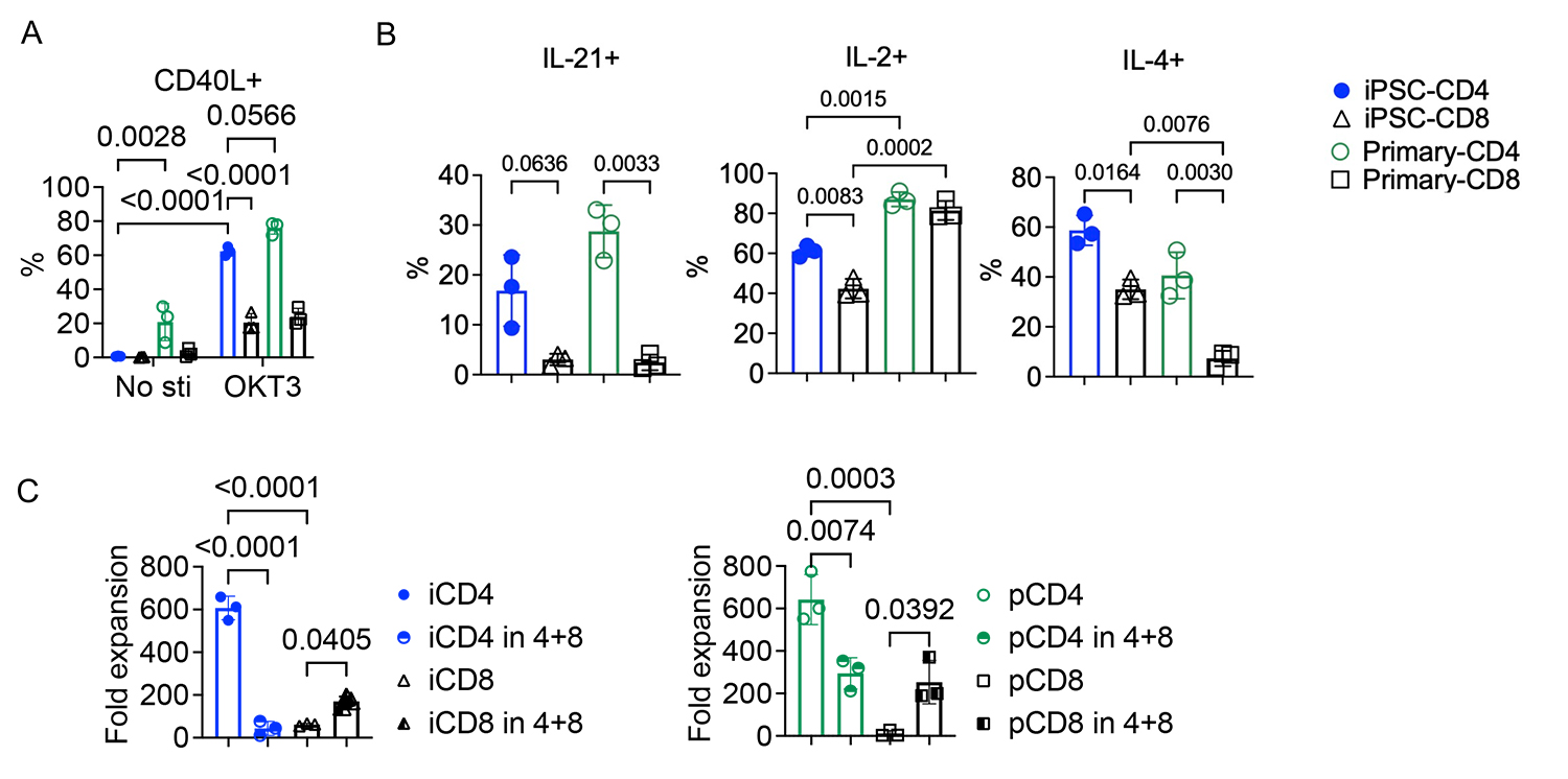 人工胸腺オルガノイドによるヒトiPS細胞由来CD4⁺T細胞療法の開発と評価