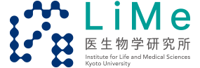 京都大学　医生物学研究所（LiMe）