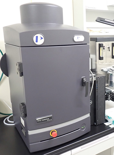 Bioluminescence imaging system