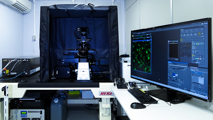 Multiphoton confocal microscope