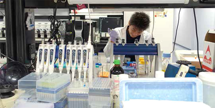 Differentiated NCCs imaged with different markers and microscopy