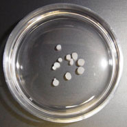 Particles consisting of chondrocytes and their secretions, ECM proteins.