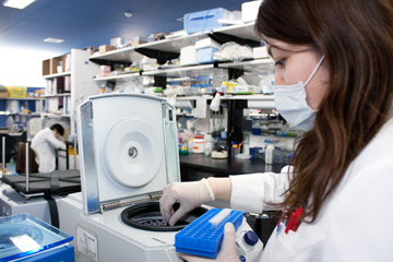 A young scientist at work