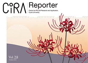 CiRA Reporter Vol.28