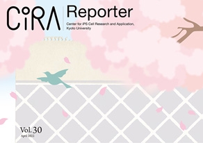 CiRA Reporter Vol.30