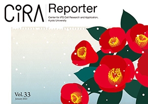 CiRA Reporter Vol.33