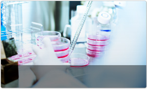 Medium exchange at the cell culture chamber