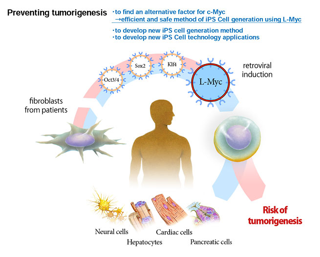 generation of safe ips cells