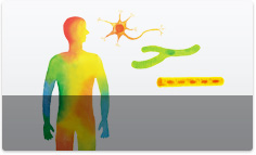 Stock of iPS Cells for Regenerative Medicine