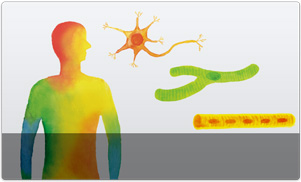 Stock of iPS Cells for Regenerative Medicine