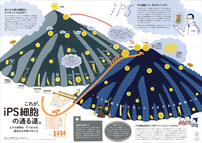 ※iPSポスターは印刷できません