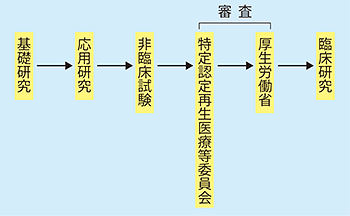 臨床研究への道のり