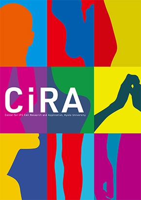 CiRAパンフレット Ver.33