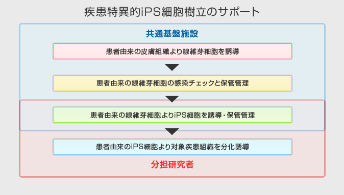 疾患特異的iPS細胞樹立のサポート