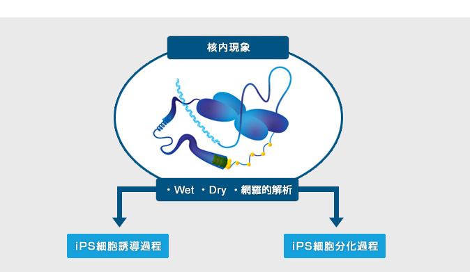 研究イメージ