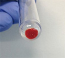 ヒトiPS細胞より分化誘導した血球細胞